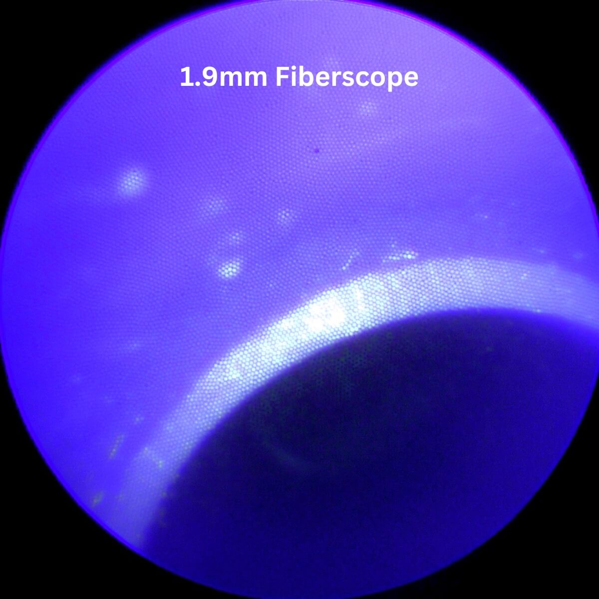 Capture Footage with Fiberscope