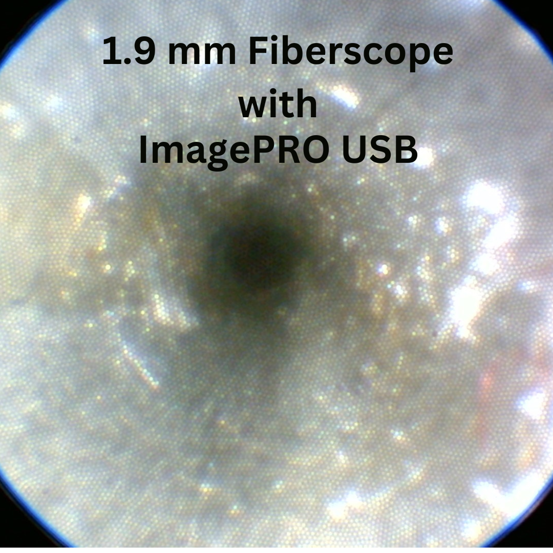 Fiberscope capture taken with a ImagePRO Borescope Camera