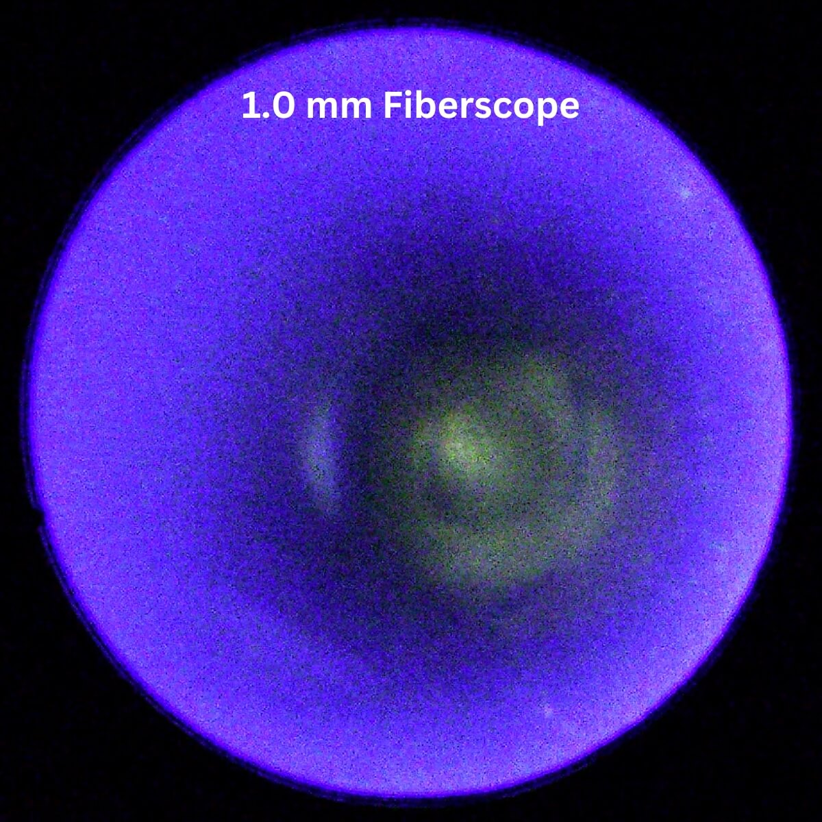 Fiberscope Capture 1.0 mm