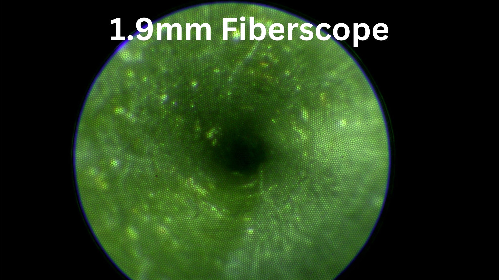 Image Capture with ImagePRO USB 3.0 Borescope Camera