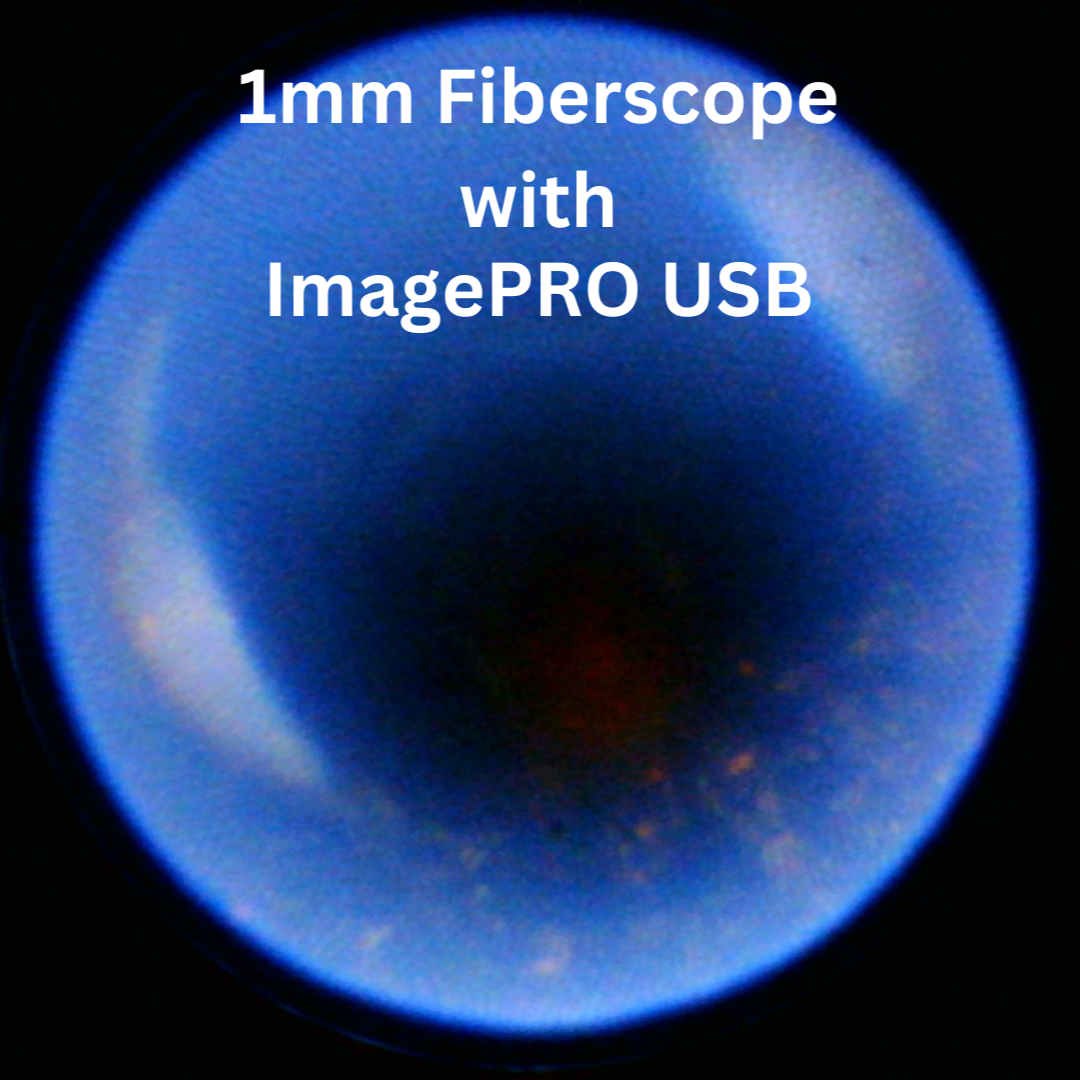 Fiberscope Captrue taken with ImagePRO Endoscope Inspection Camera