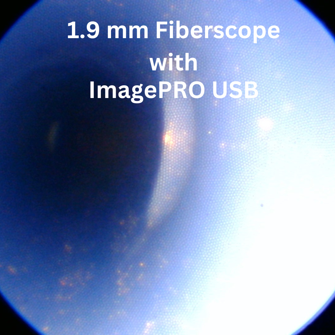 ImagePRO Endoscope Camera Footage